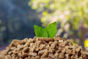Energia z biomasy – produkcja prądu i ciepła